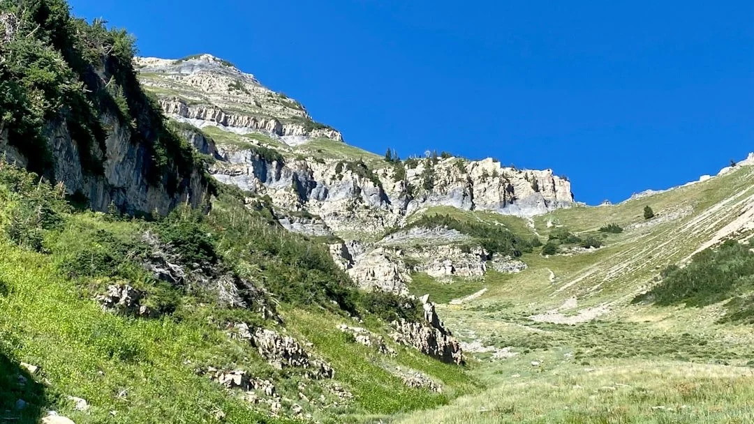 A green alpine meadow below pale limestone cliffs